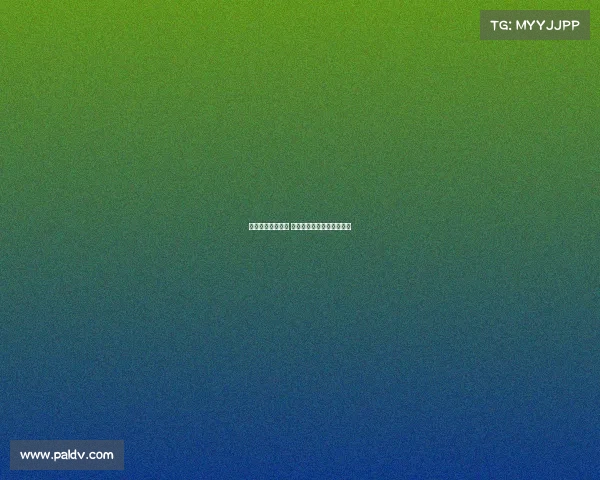 网球赛场荣耀之巅 解析冠军背后的努力与风采